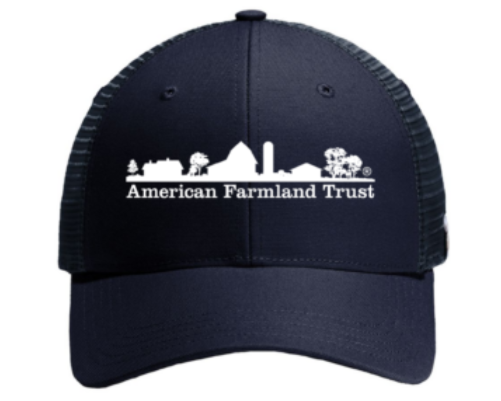 Carhartt american flag hat shop